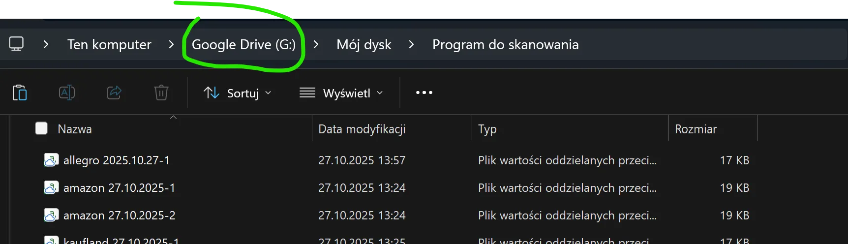 Widok dysku Google Drive z plikami logów